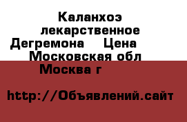 Каланхоэ лекарственное Дегремона  › Цена ­ 10 - Московская обл., Москва г.  »    